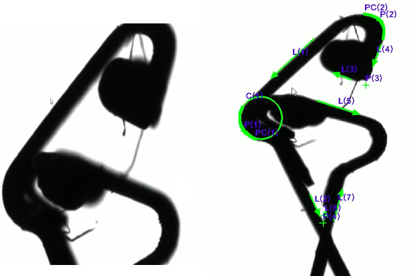 yl.png